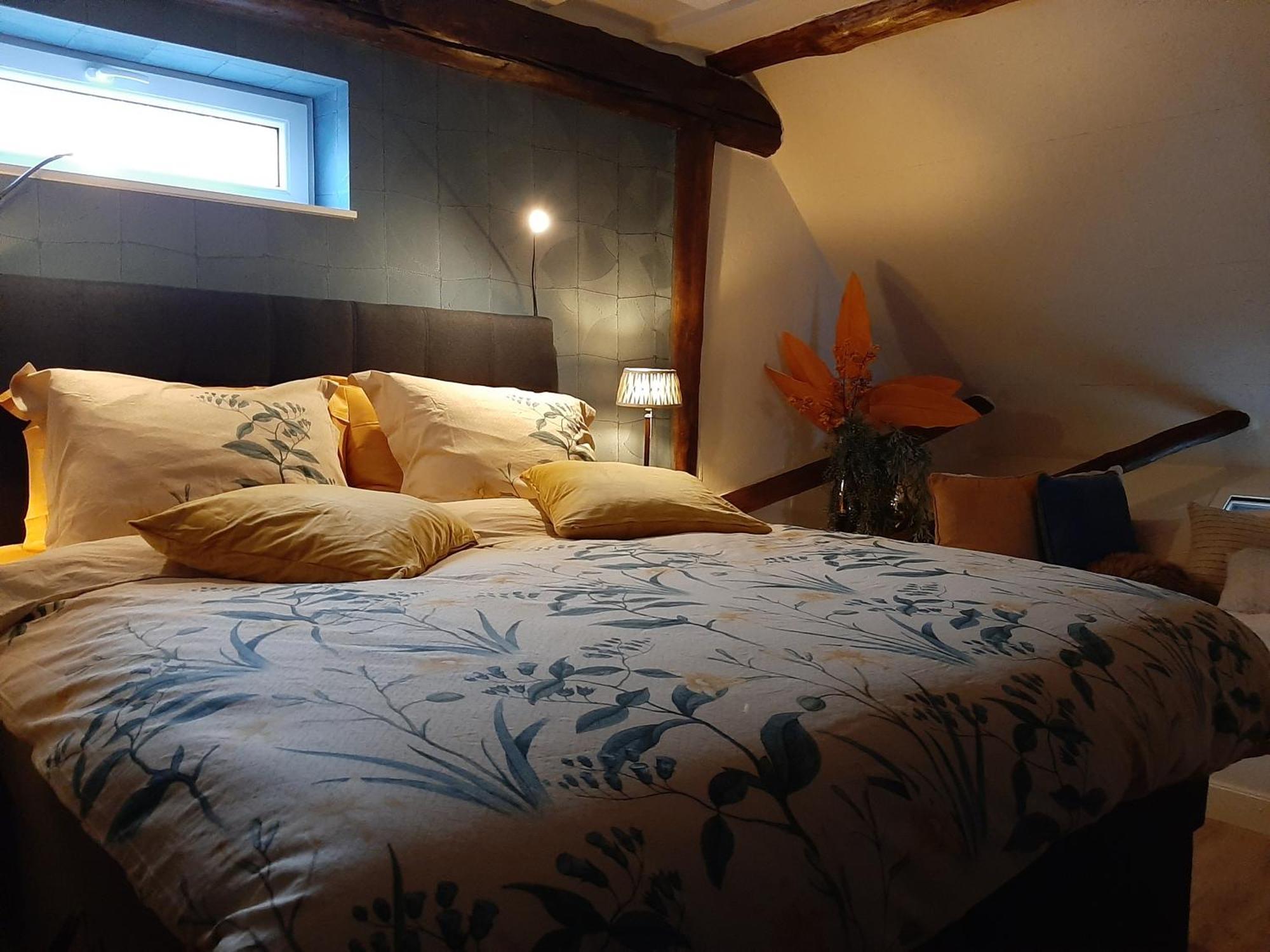 Loft De Hooizolder Met Sauna Bij Te Boeken Gees エクステリア 写真