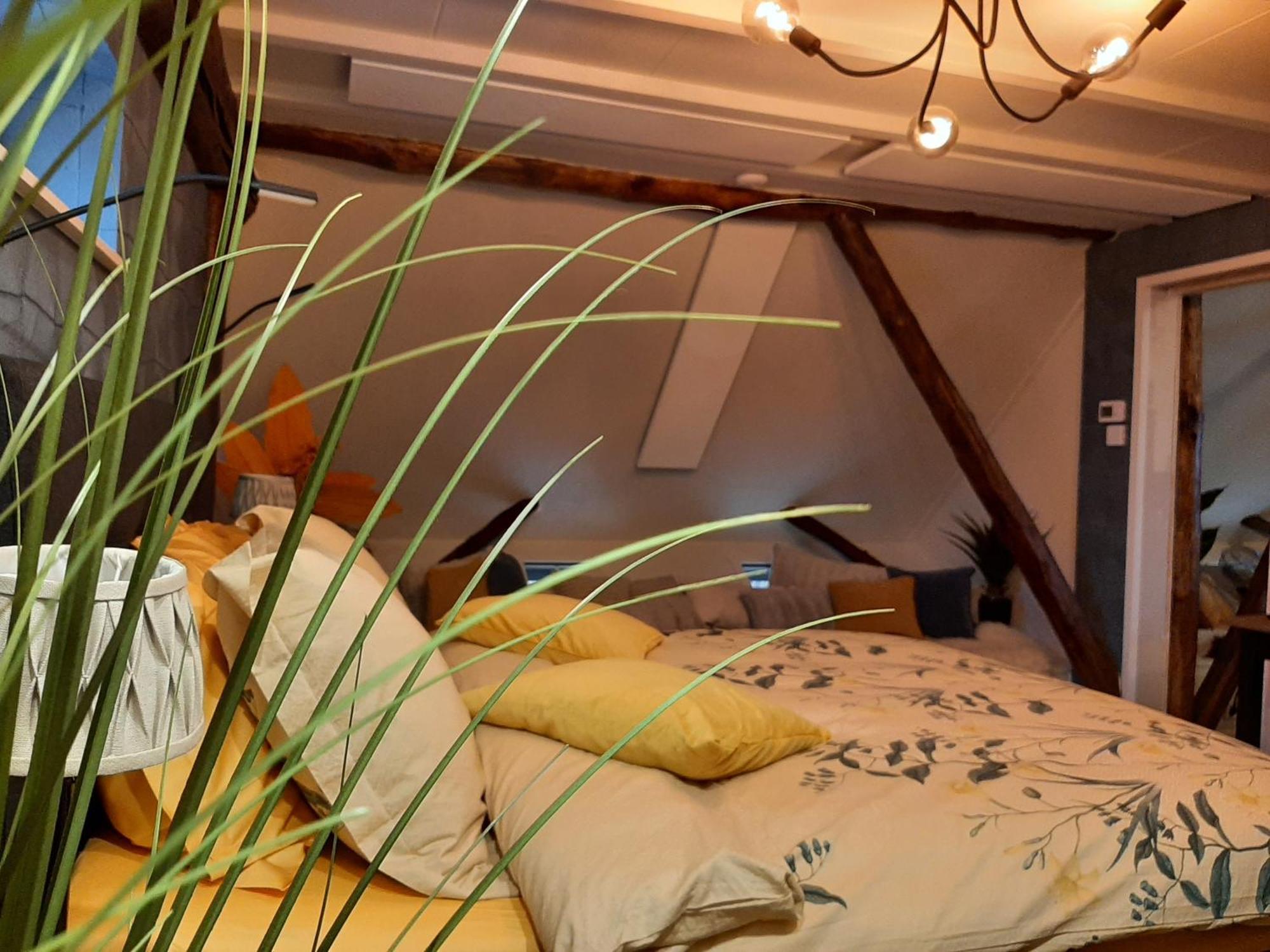 Loft De Hooizolder Met Sauna Bij Te Boeken Gees エクステリア 写真